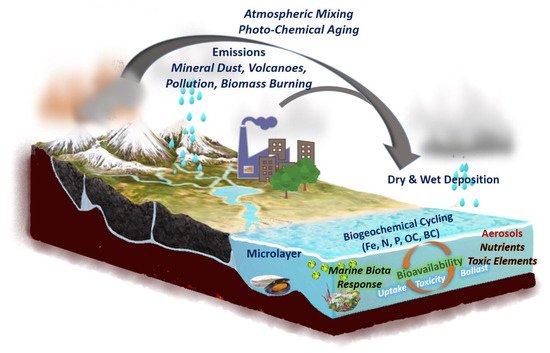 Aerosols Deposition and Marine Biota | Encyclopedia MDPI