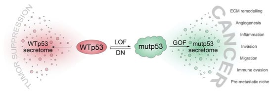 Biomolecules 10 00307 g001 550