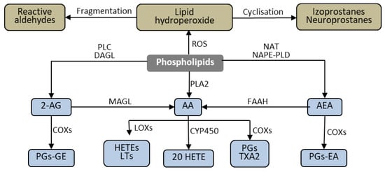 Biomolecules 10 00402 g005 550