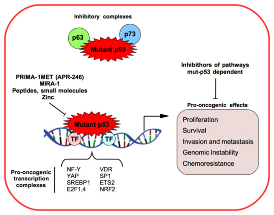 Biomolecules 10 00472 g001 550