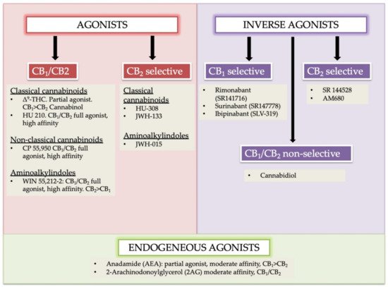 Molecules 26 03389 g001 550