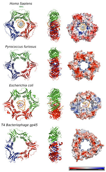 Biomolecules 10 00570 g002 550