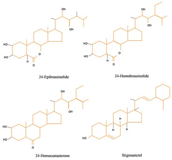 Biomolecules 10 00572 g001 550