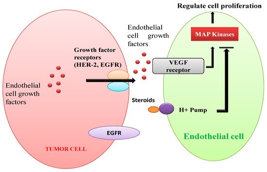 Biomolecules 10 00572 g005 550