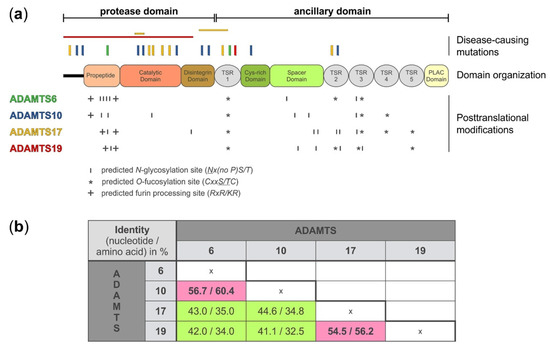 Biomolecules 10 00596 g001 550