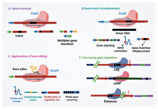 Genes 12 00797 g002 550