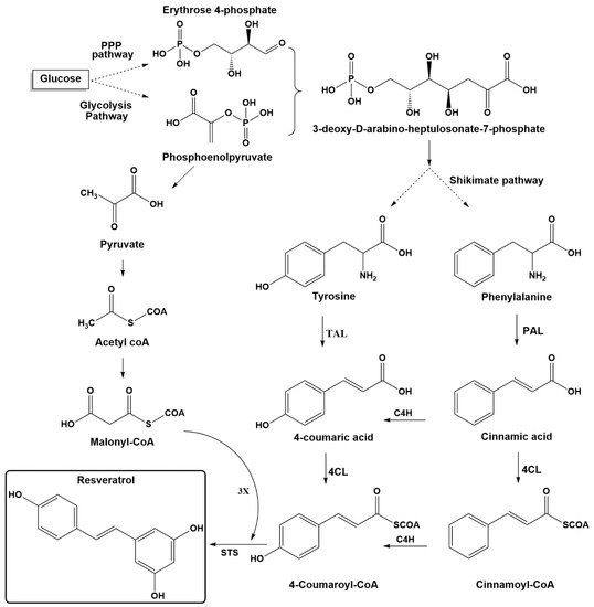 Biomolecules 11 00830 g002 550