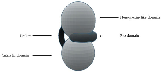 Biomolecules 10 00717 g001 550