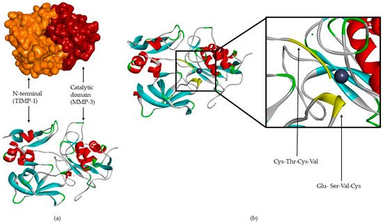 Biomolecules 10 00717 g002 550