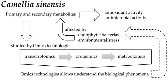 Applsci 09 00281 g002 550