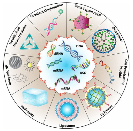 Molecules 26 03332 g003 550