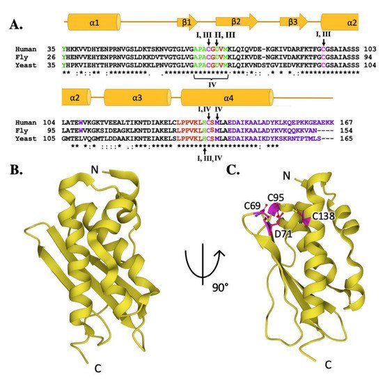 Ijms 22 06006 g005 550