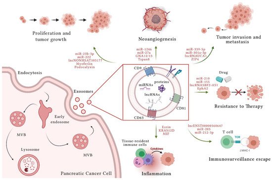 Cells 10 01361 g001 550