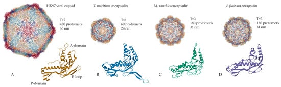 Biomolecules 10 00966 g001 550