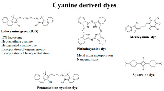 Pharmaceutics 13 00818 g003 550