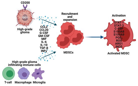 Cells 10 00893 g002 550