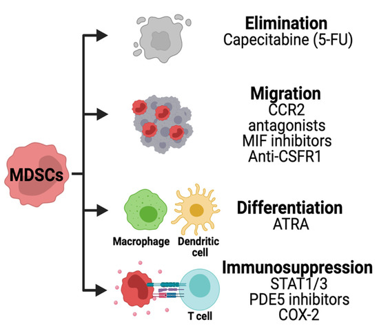 Cells 10 00893 g006 550