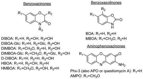 Molecules 26 03453 g001 550