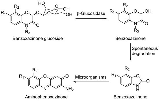 Molecules 26 03453 sch001 550