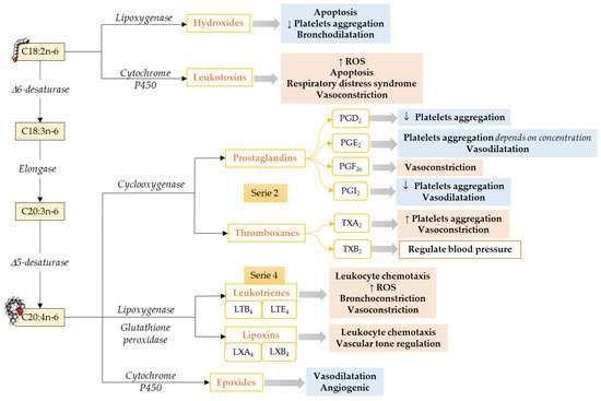 Antioxidants 10 00933 g001 550