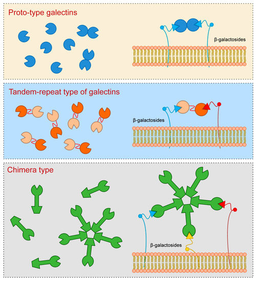 Biomolecules 10 00798 g001 550