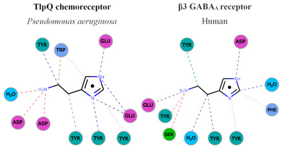 Ijms 22 06312 g003 550