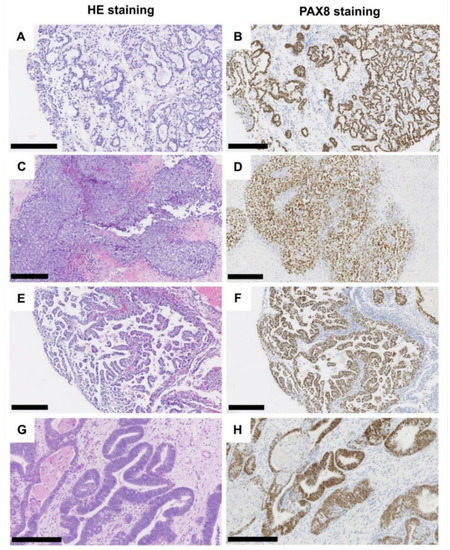 Genes 12 00880 g001 550