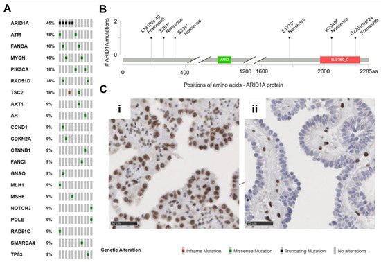 Genes 12 00880 g002 550