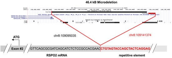 Genes 12 00880 g004 550