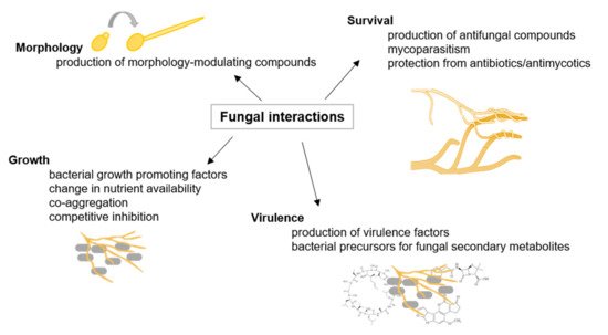 Biology 10 00496 g001 550