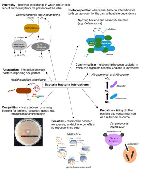 Biology 10 00496 g004 550