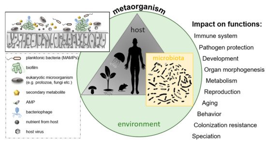 Microbial Interactions in Nature | Encyclopedia MDPI