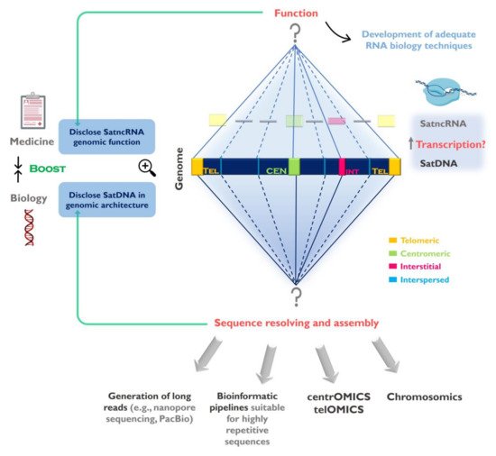 Genes 11 00072 g001 550