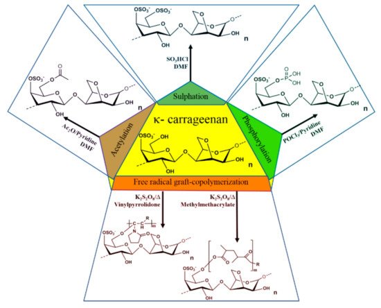 Molecules 26 02608 g003 550