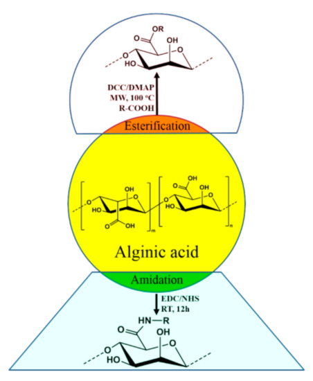 Molecules 26 02608 g004 550