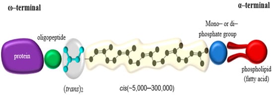 Polymers 13 01989 g001 550