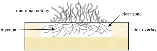 Polymers 13 01989 g002 550