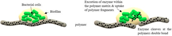 Polymers 13 01989 g003 550