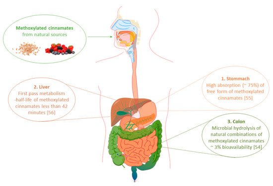 Foods 10 01417 g002 550