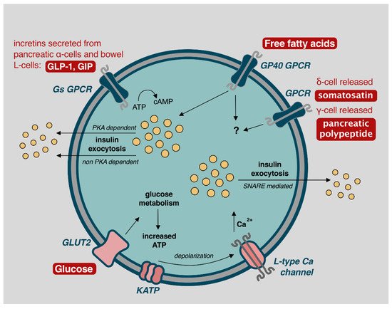 Cells 10 00278 g002 550