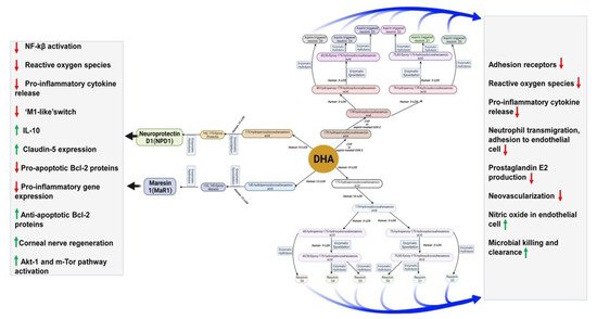 Nutrients 13 02061 g003 550