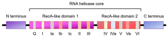 Cells 10 01540 g002 550