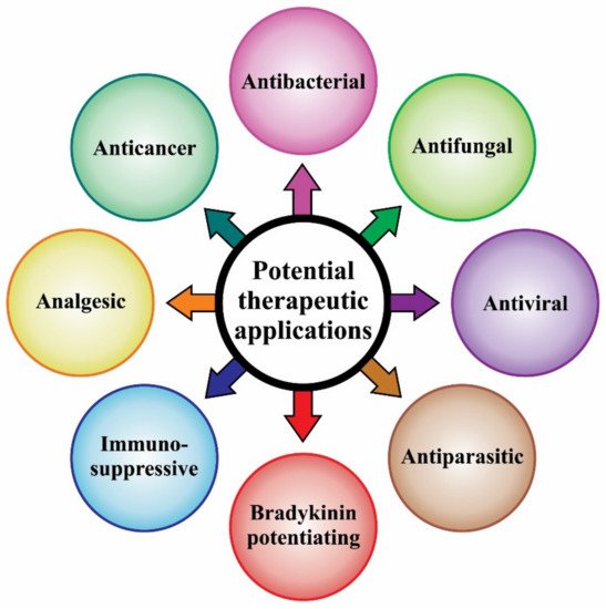 Biomedicines 08 00118 g004 550