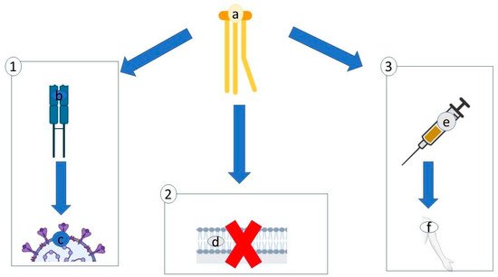 Antibiotics 10 00746 g005 550