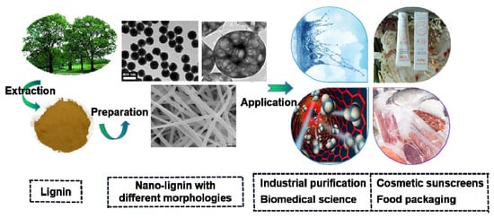 Nanomaterials 11 01336 g002 550