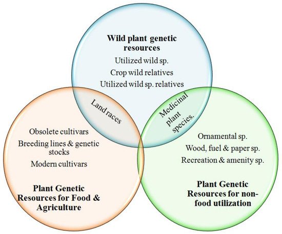 Sustainability 13 06743 g001 550