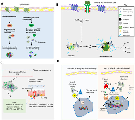 Biomolecules 11 00629 g003 550