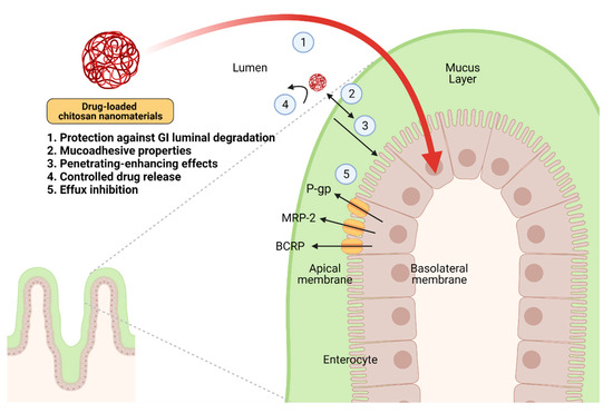 Pharmaceutics 13 00887 g002 550