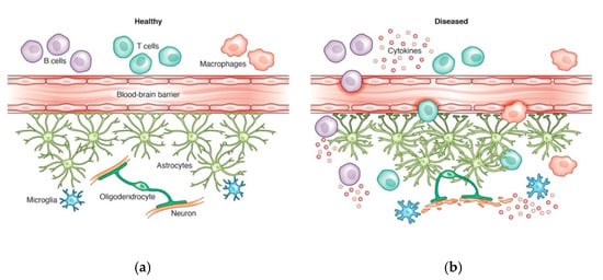 Cells 10 01605 g002 550