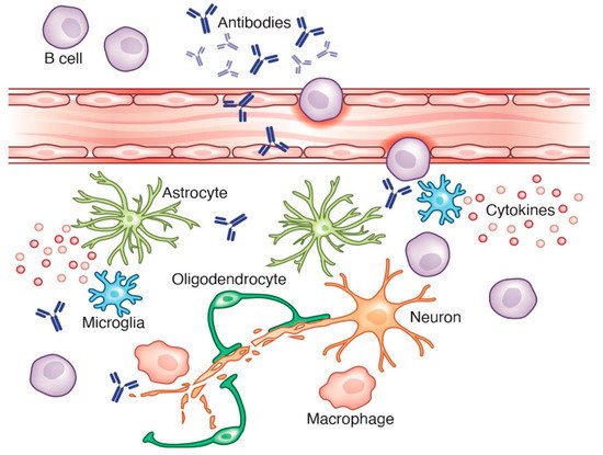 Cells 10 01605 g003 550